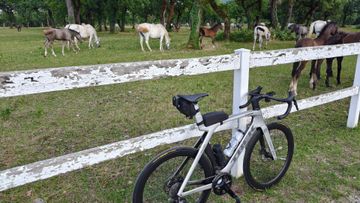 Used Trek Madone SLR 6 Gen 7 2023 2023 Road & Gravel