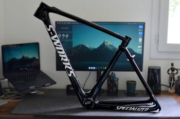 Used Specialized Roubaix Frameset 2018 Road & Gravel