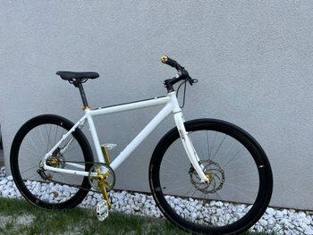 Used Caprine Caprine Custom Urban — image 4 of 8