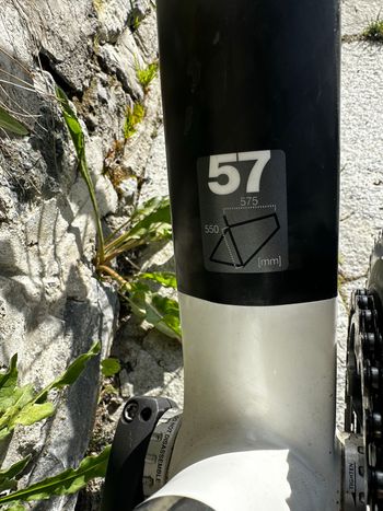 Used BMC BMC Custom Shimano Dura Ace 2010 Road & Gravel, White — image 4 of 11