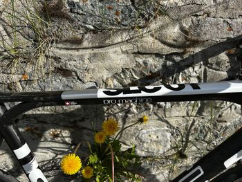 Used BMC BMC Custom Shimano Dura Ace 2010 Road & Gravel, White — image 2 of 11