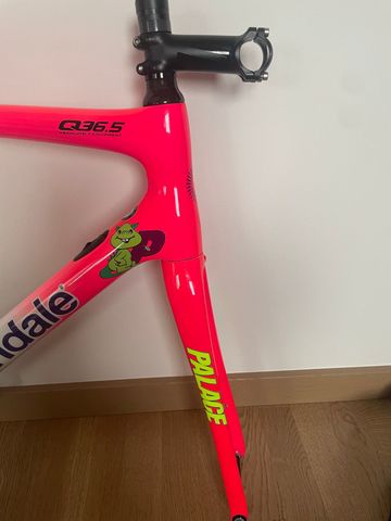 Used Cannondale Synapse Custom Frameset 2020 Road & Gravel, White — image 2 of 14