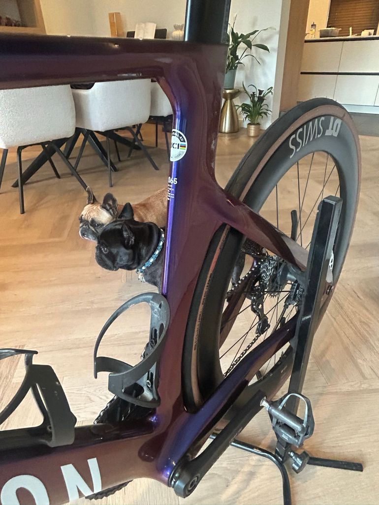 Used Canyon Aeroad CFR Di2 2024 2024 Road & Gravel, Purple — image 42 of 83