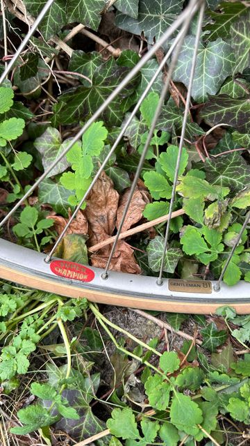Used Hygina Custom Other 1982 Road & Gravel, Red — image 7 of 14
