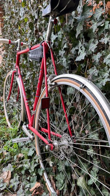 Used Hygina Custom Other 1982 Road & Gravel, Red — image 3 of 14