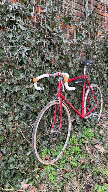 Used Hygina Custom Other 1982 Road & Gravel, Red — image 6 of 14