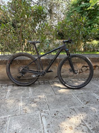Trek, Procaliber 9.6 2019