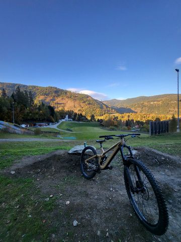 Used Rose Scrub SC 2025 2025 Mountainbike, Orange, 29 — image 2 of 4