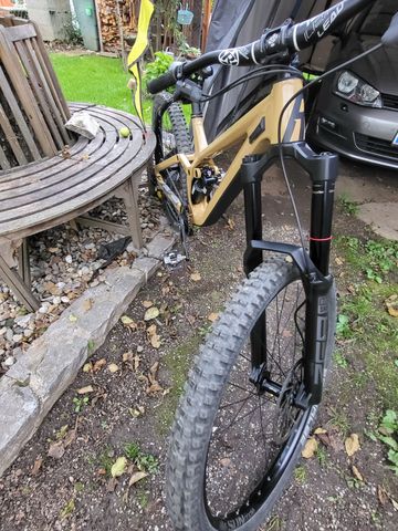 Used Rose Scrub SC 2025 2025 Mountainbike, Orange, 29 — image 3 of 4