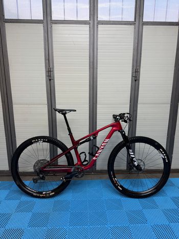 Canyon, Lux World Cup CF 6 2024