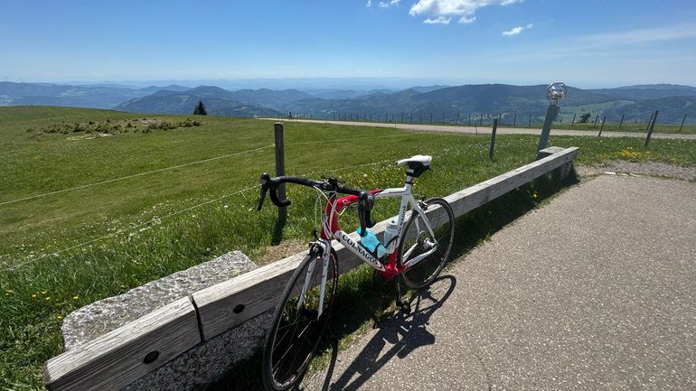Used Colnago CLX Shimano Ultegra 2014 Road & Gravel, Red — image 1 of 11