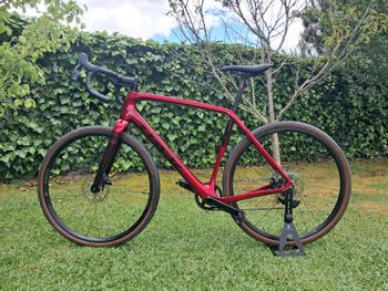 Trek, Checkpoint SL 6 eTap 2023