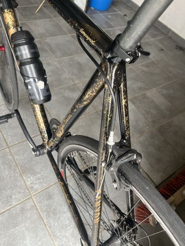 Canyon Custom Campagnolo Veloce 2022 Road & Gravel d'occasion — image 20 sur 21