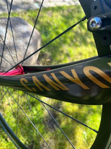Canyon Custom Campagnolo Veloce 2022 Road & Gravel d'occasion — image 5 sur 21