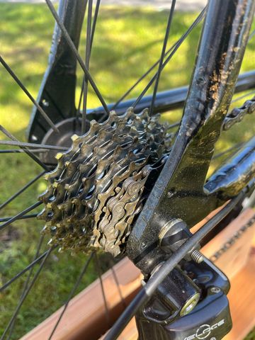 Canyon Custom Campagnolo Veloce 2022 Road & Gravel d'occasion — image 4 sur 21
