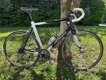 Specialized, Allez Shimano Ultegra