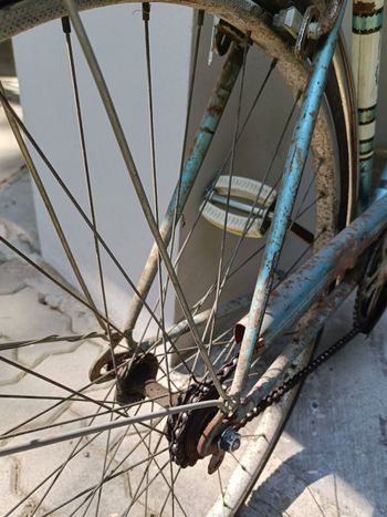 Used doniselli Doniselli Custom Urban, Blau — image 11 of 17