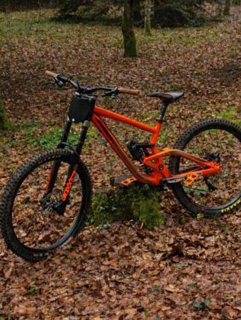 Scott, Gambler Shimano Alivio