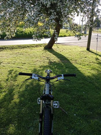 Used Ghost Ert 5700 2007 Mountainbike — image 2 of 7