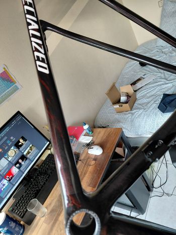 Used Specialized S-Works Tarmac SL8 Frameset - FACT 12r Carbon 2025 Frameset 2025 Road & Gravel, Black — image 11 of 11