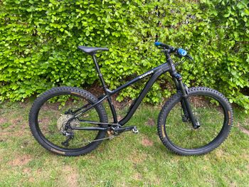 Kona, Honzo DL 2024