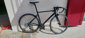 Van rysel, Edr Campagnolo Centaur