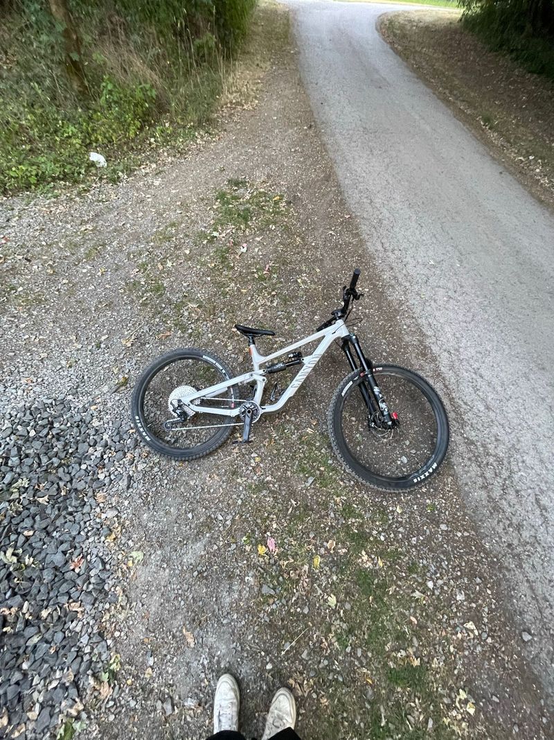 Used Canyon Torque 5 2025 2025 Mountainbike, White, 29, 27.5 — image 2 of 8