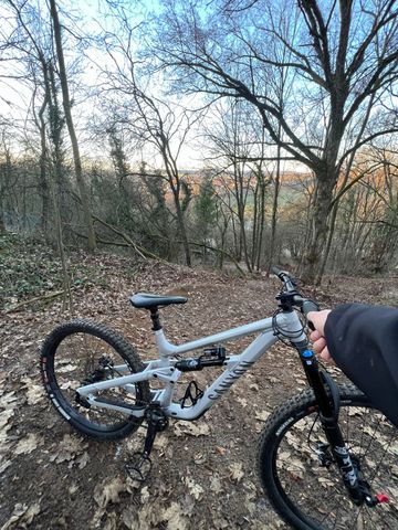 Used Canyon Torque 5 2025 2025 Mountainbike, White, 29, 27.5 — image 4 of 8