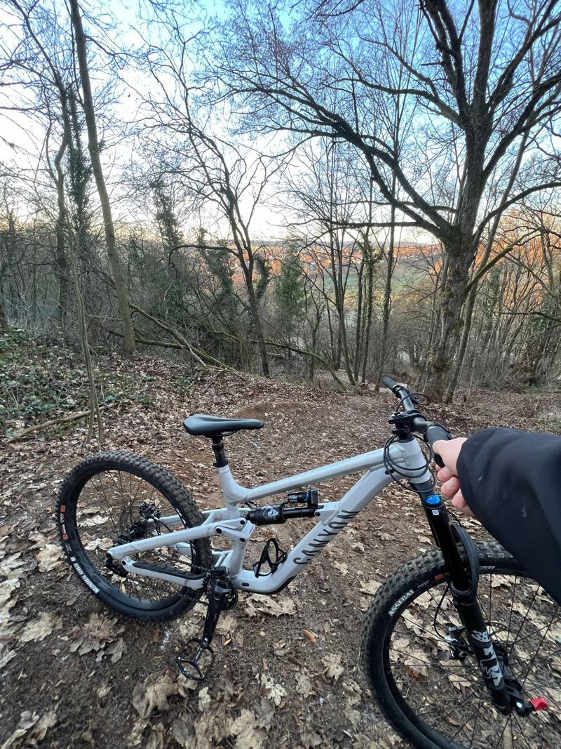 Used Canyon Torque 5 2025 2025 Mountainbike, White, 29, 27.5 — image 4 of 8