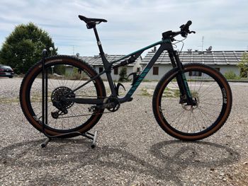 Canyon, Lux Trail CF 8 2022