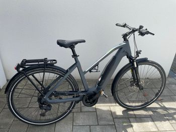 Carver, Carver Custom
