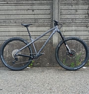 Used Dartmoor Primal Shimano Deore XT 2024 Mountainbike, Light Gray, 29 — image 2 of 9