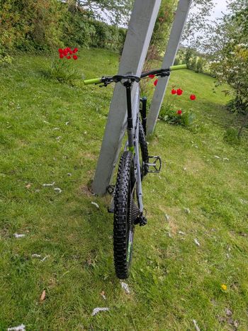 Used Cannondale Trigger 2 2018 2018 Mountainbike, Light Gray, 27.5 — image 6 of 7