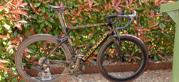 Colnago, Colnago Concept Art Decor Gold 2017