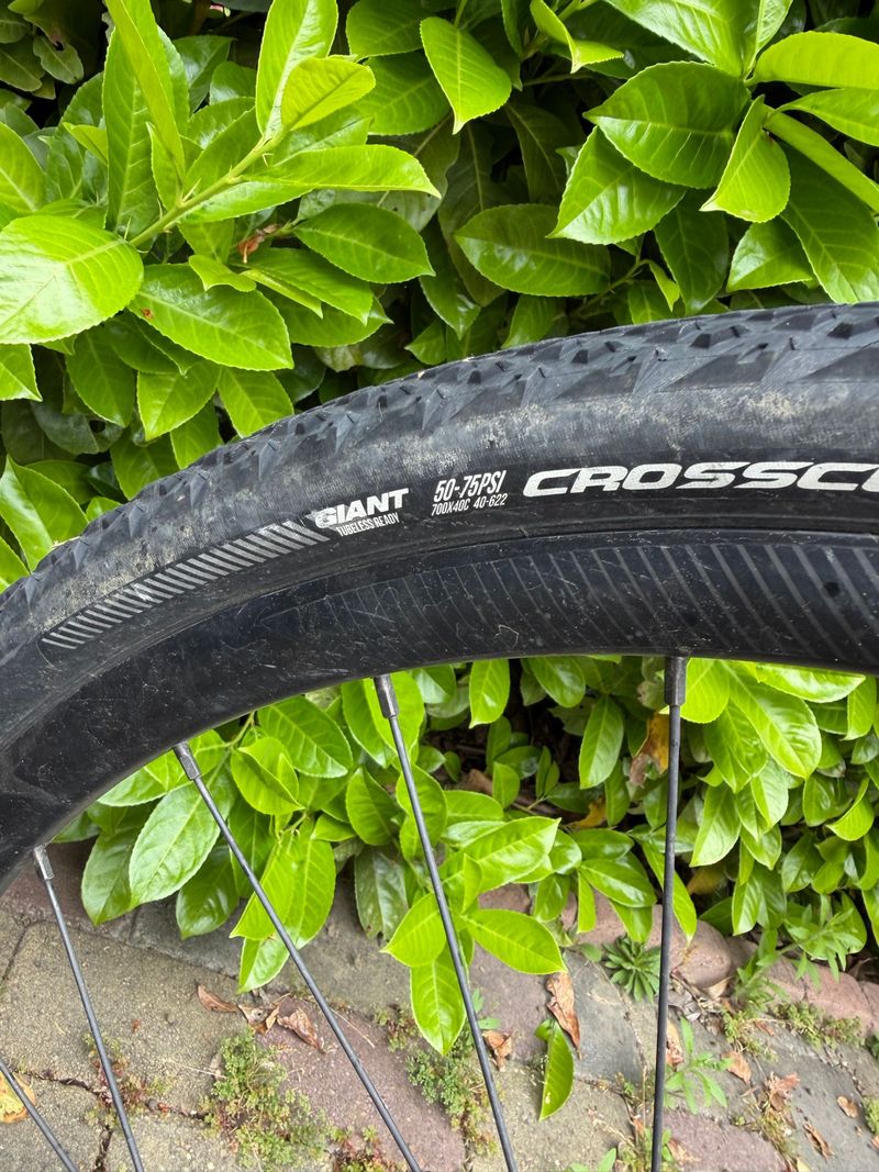 Used Giant TCX Advanced 2020 2020 Road & Gravel, Blue — image 4 of 7