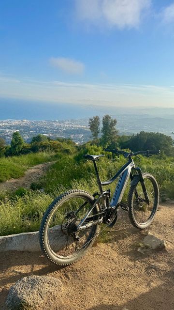 Used Giant Reign E+ 1 Pro 2020 2020 Mountainbike, Light Gray, Mixed — image 2 of 3