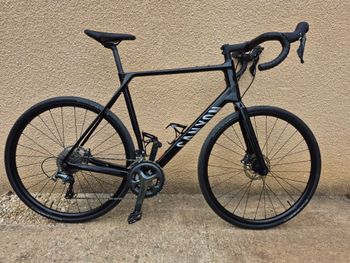 Canyon, Endurace CF 6 2026
