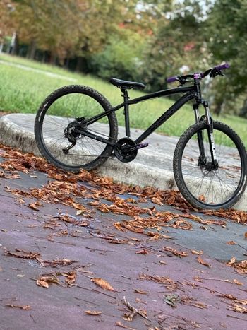 crow, Crow Custom Shimano XTR