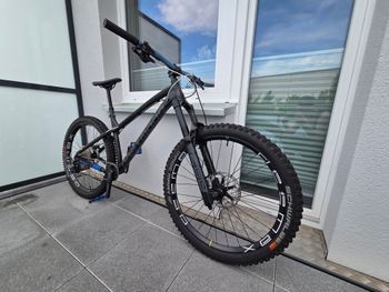 Dartmoor, Primal 27,5