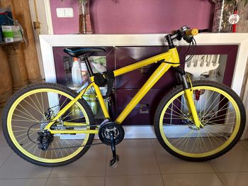 Other Brands, Mtb