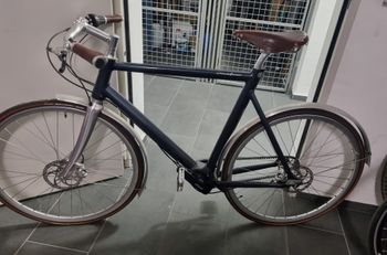 Schindelhauer, Wilhelm C-Line 2019