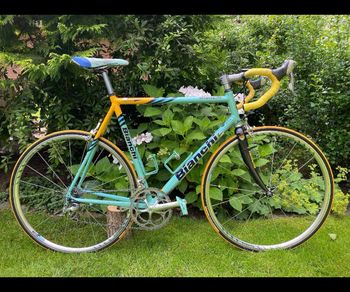 Bianchi, Bianchi Custom Shimano Ultegra