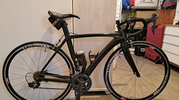 Dedacciai, Dedacciai Custom Shimano Ultegra