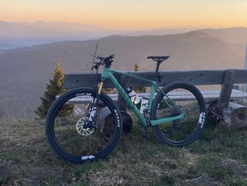 Canyon, Exceed CF 8 2024