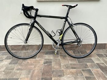 Used Colnago Master Campagnolo Chorus 2000 Road & Gravel, Black — image 2 of 5