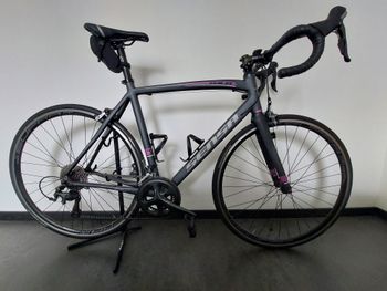 Sensa, Sensa Emilia Lady Tiagra 2020