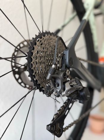 Used Canyon Grizl CF SL 8 Suspension 1by 2022 2022 Road & Gravel, Green — image 19 of 19