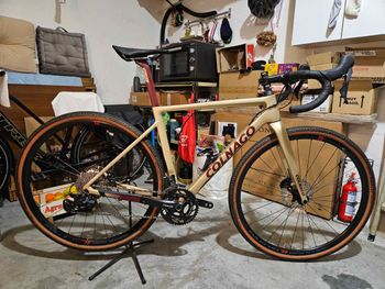 Colnago, G3-X GRX 810 2X Disc Bike 2024