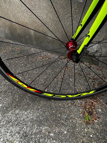 Used Wilier Isoard XP Fluo 2013 Road & Gravel, Black — image 4 of 8