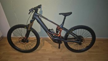 Orbea, Orbea Wild M-TEAM